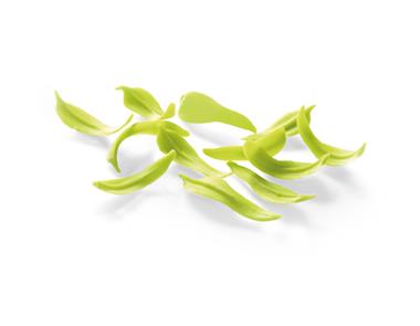 Listki Wierzby Lemon BARBARA DECOR