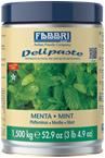 Delipasta Miętowa 1,5kg Fabbri